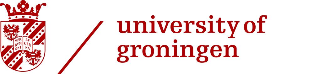 University of Groningen Logo